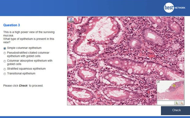 Another virtual microscopy VMAT example