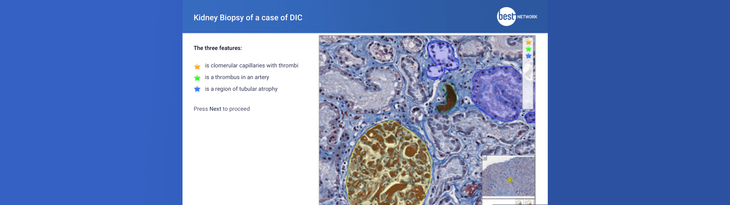 Picture of Pathology